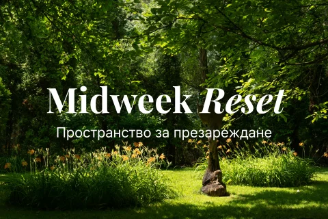 Midweek Reset | По-добър ритъм